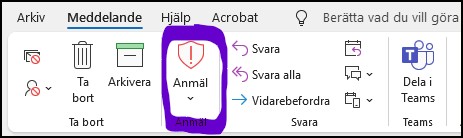 n&auml;tfiske_anmal.jpg